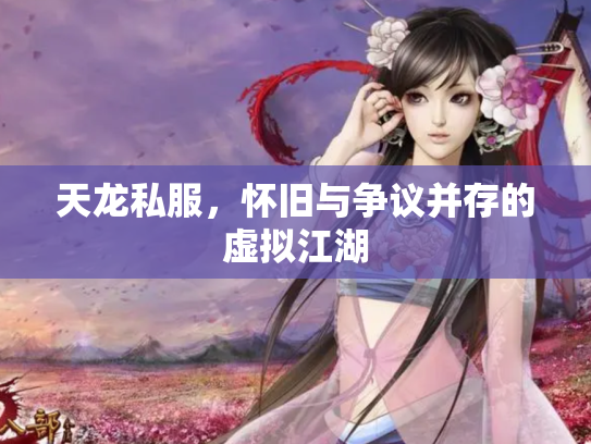 天龙私服，怀旧与争议并存的虚拟江湖