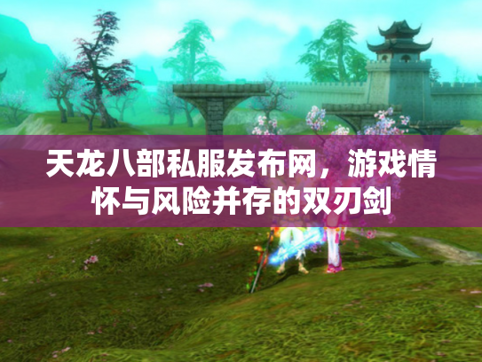 天龙八部私服发布网，游戏情怀与风险并存的双刃剑