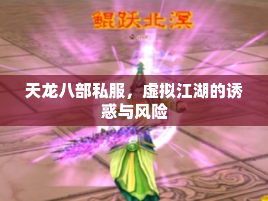 天龙八部私服，虚拟江湖的诱惑与风险