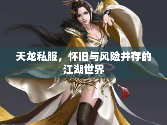 天龙私服，怀旧与风险并存的江湖世界