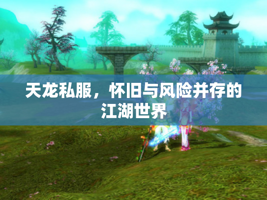 天龙私服，怀旧与风险并存的江湖世界