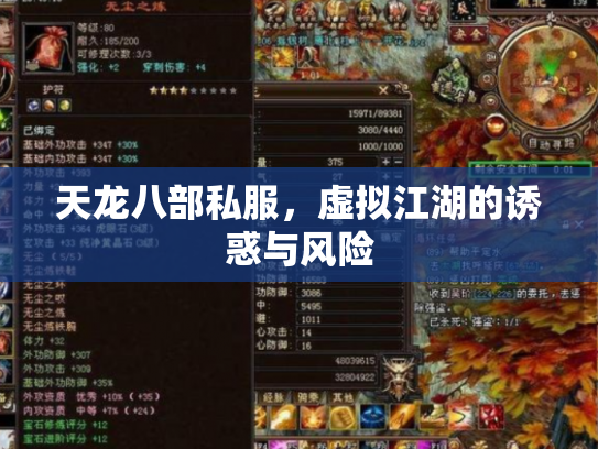 天龙八部私服，虚拟江湖的诱惑与风险