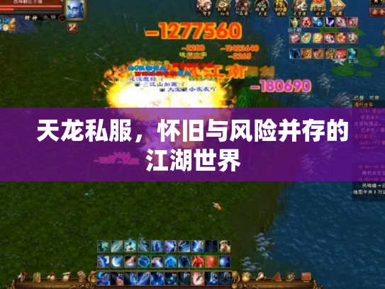 天龙私服，怀旧与风险并存的江湖世界