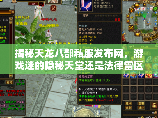 揭秘天龙八部私服发布网，游戏迷的隐秘天堂还是法律雷区？