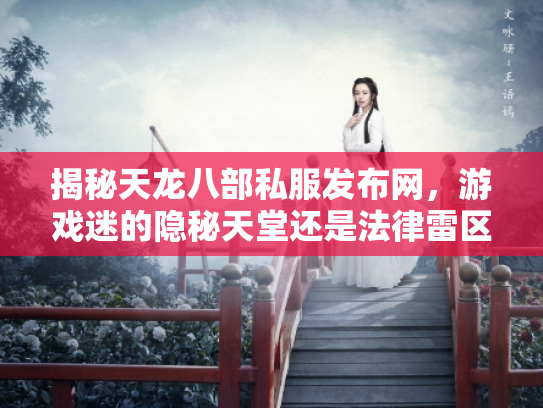 揭秘天龙八部私服发布网，游戏迷的隐秘天堂还是法律雷区？