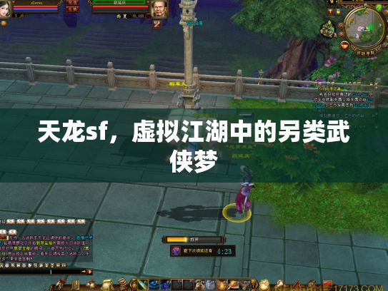 天龙sf，虚拟江湖中的另类武侠梦