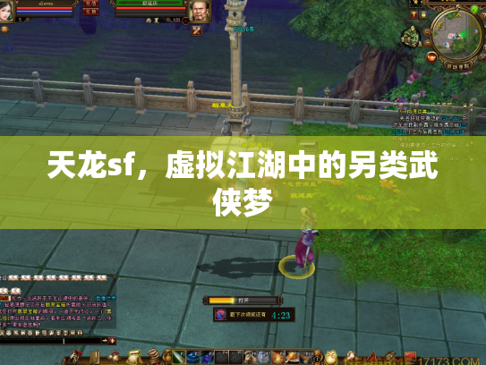天龙sf，虚拟江湖中的另类武侠梦