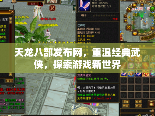 天龙八部发布网，重温经典武侠，探索游戏新世界