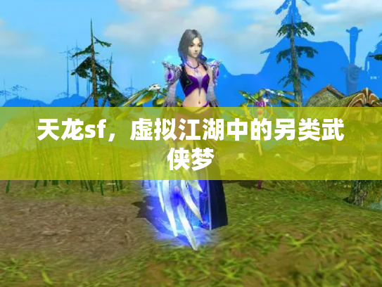 天龙sf，虚拟江湖中的另类武侠梦