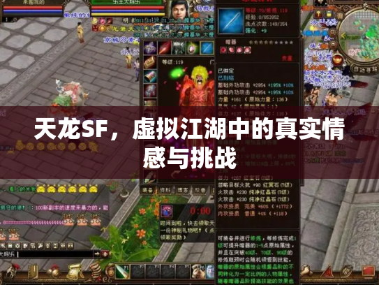 天龙SF，虚拟江湖中的真实情感与挑战