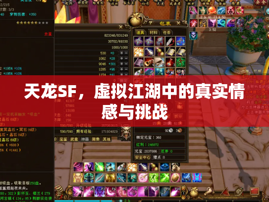 天龙SF，虚拟江湖中的真实情感与挑战