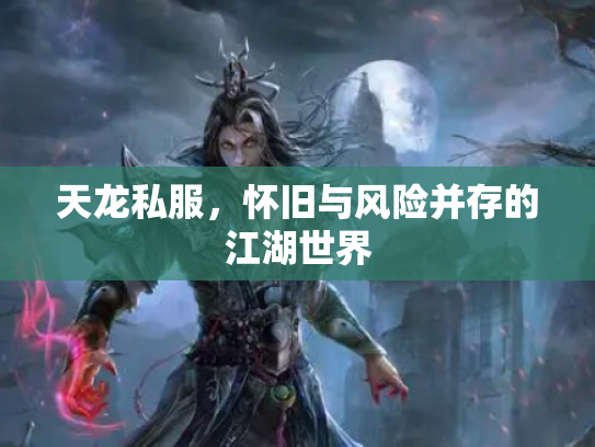 天龙私服，怀旧与风险并存的江湖世界