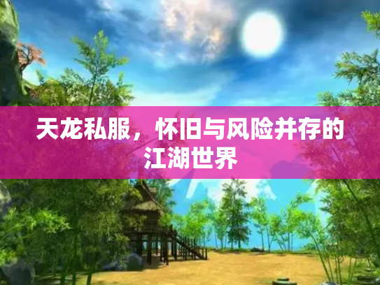 天龙私服，怀旧与风险并存的江湖世界