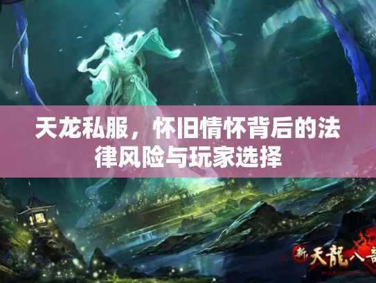 天龙私服，怀旧情怀背后的法律风险与玩家选择
