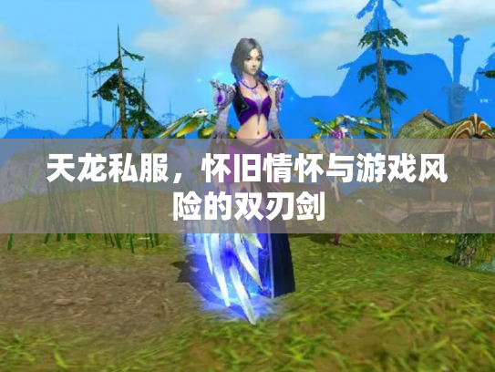 天龙私服，怀旧情怀与游戏风险的双刃剑