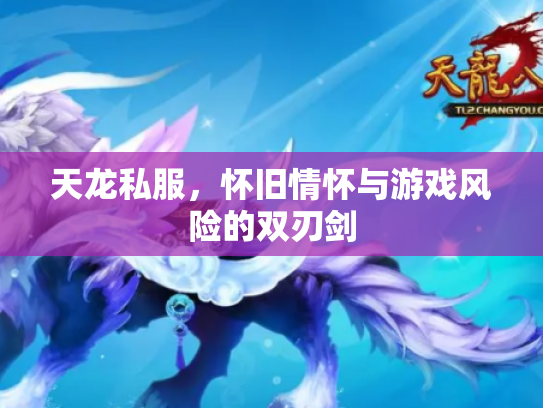 天龙私服，怀旧情怀与游戏风险的双刃剑