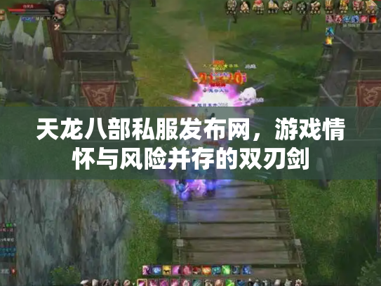天龙八部私服发布网，游戏情怀与风险并存的双刃剑