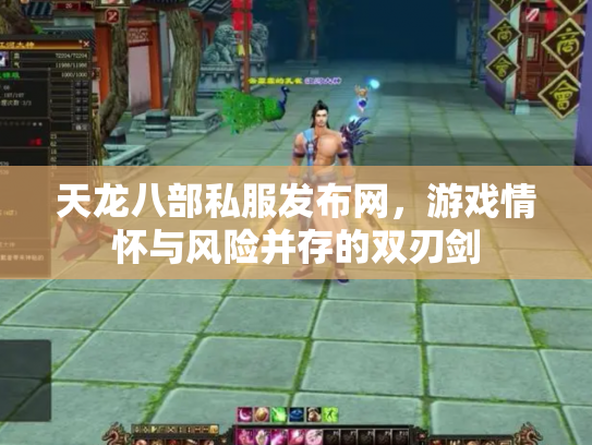天龙八部私服发布网，游戏情怀与风险并存的双刃剑