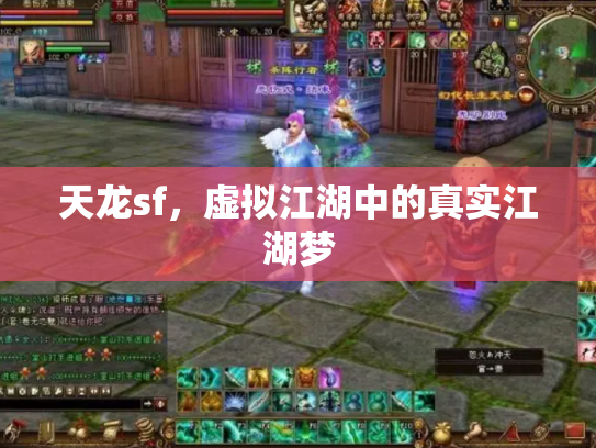 天龙sf，虚拟江湖中的真实江湖梦