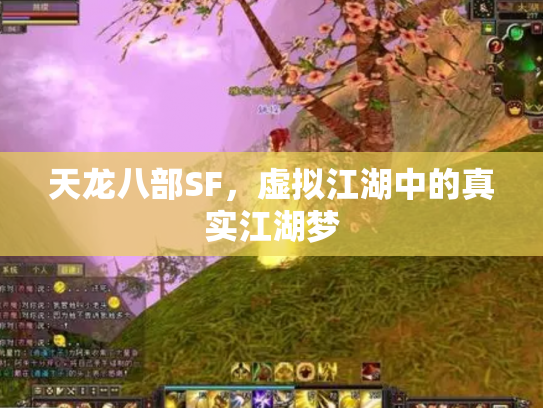 天龙八部SF，虚拟江湖中的真实江湖梦