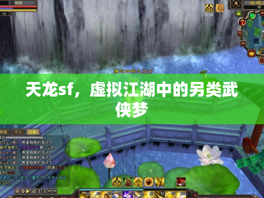 天龙sf，虚拟江湖中的另类武侠梦