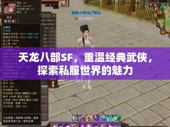 天龙八部SF，重温经典武侠，探索私服世界的魅力