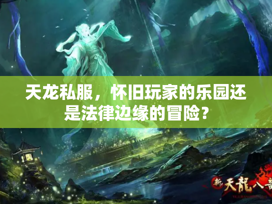 天龙私服，怀旧玩家的乐园还是法律边缘的冒险？