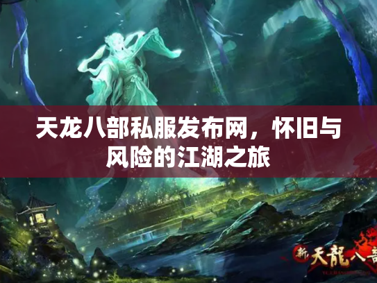天龙八部私服发布网，怀旧与风险的江湖之旅