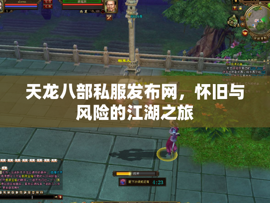 天龙八部私服发布网，怀旧与风险的江湖之旅