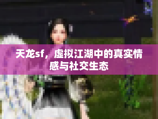 天龙sf，虚拟江湖中的真实情感与社交生态