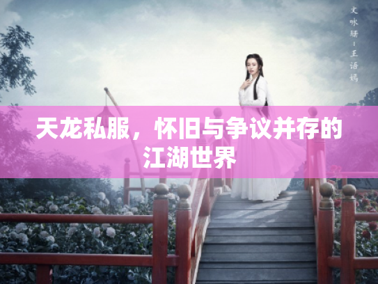 天龙私服，怀旧与争议并存的江湖世界