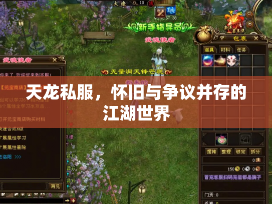 天龙私服，怀旧与争议并存的江湖世界