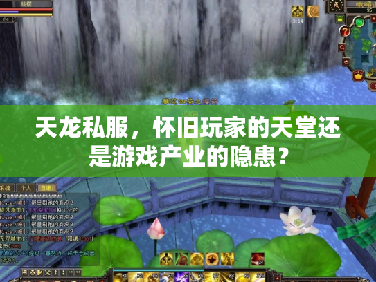 天龙私服，怀旧玩家的天堂还是游戏产业的隐患？