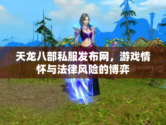 天龙八部私服发布网，游戏情怀与法律风险的博弈