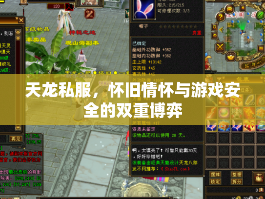 天龙私服，怀旧情怀与游戏安全的双重博弈