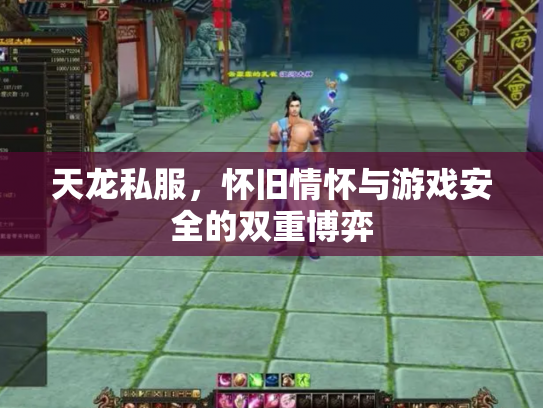 天龙私服，怀旧情怀与游戏安全的双重博弈