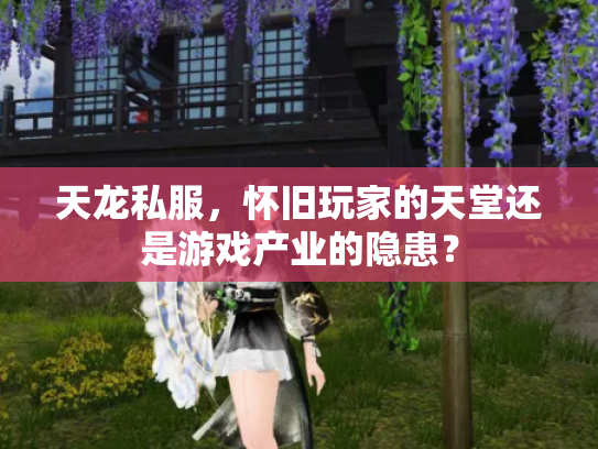 天龙私服，怀旧玩家的天堂还是游戏产业的隐患？