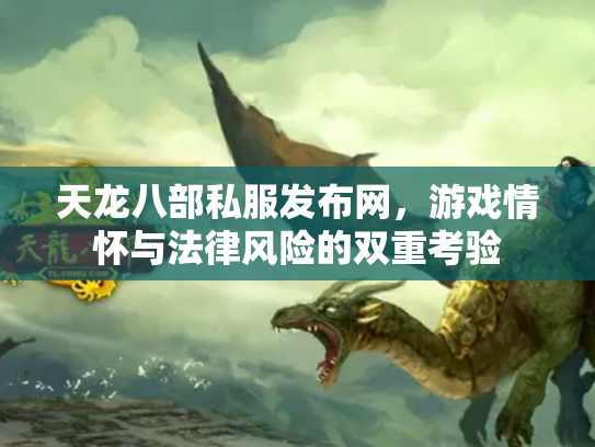 天龙八部私服发布网，游戏情怀与法律风险的双重考验