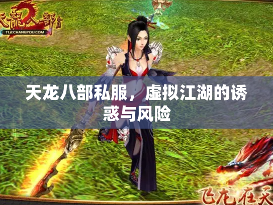 天龙八部私服，虚拟江湖的诱惑与风险