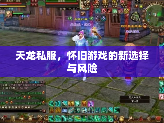 天龙私服，怀旧游戏的新选择与风险