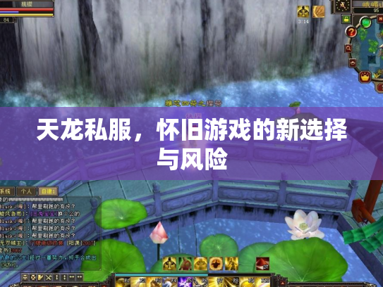 天龙私服，怀旧游戏的新选择与风险