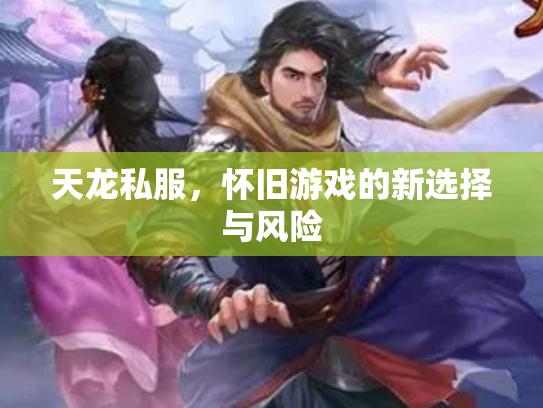 天龙私服，怀旧游戏的新选择与风险