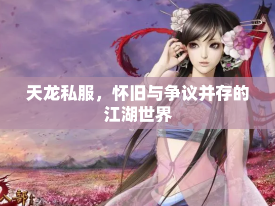 天龙私服，怀旧与争议并存的江湖世界