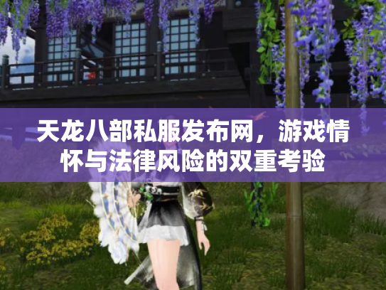 天龙八部私服发布网，游戏情怀与法律风险的双重考验