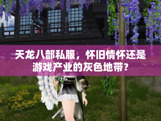 天龙八部私服，怀旧情怀还是游戏产业的灰色地带？
