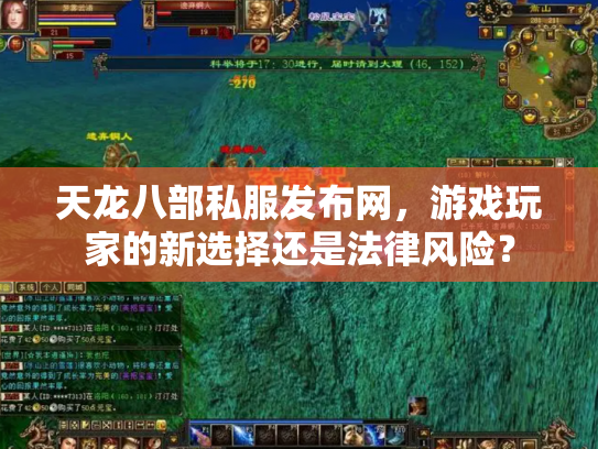 天龙八部私服发布网，游戏玩家的新选择还是法律风险？