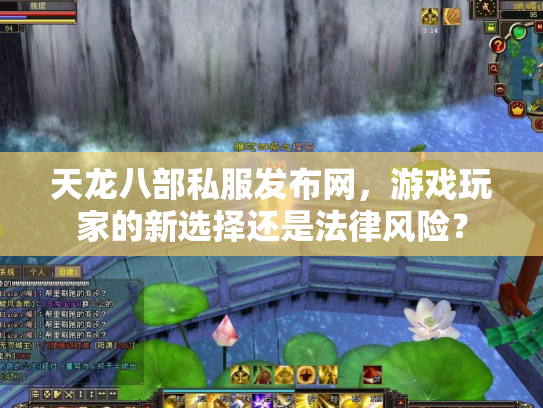 天龙八部私服发布网，游戏玩家的新选择还是法律风险？