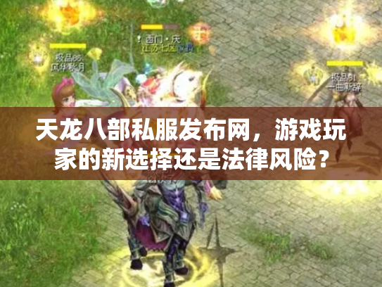 天龙八部私服发布网，游戏玩家的新选择还是法律风险？