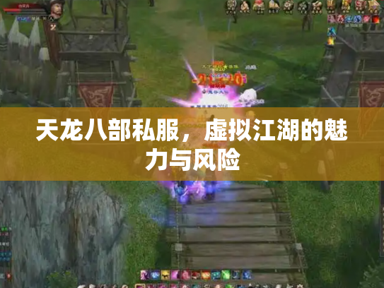 天龙八部私服，虚拟江湖的魅力与风险