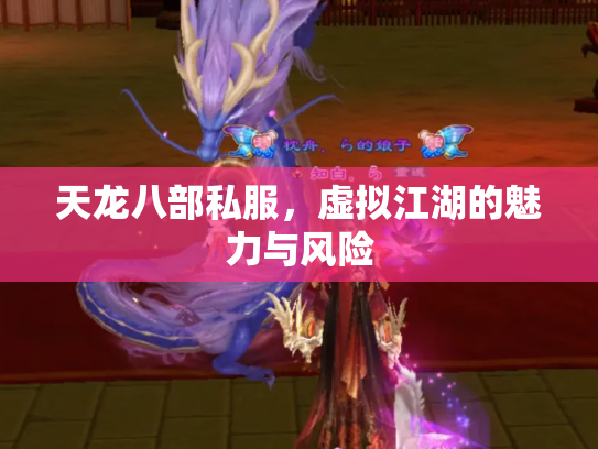 天龙八部私服，虚拟江湖的魅力与风险